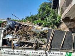 Best Hoarding Cleanup  in Cherokee, NC